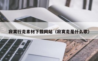 丹东寂寞行走素材下载网站（寂寞走是什么歌）