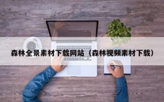 丹东森林全景素材下载网站（森林视频素材下载）